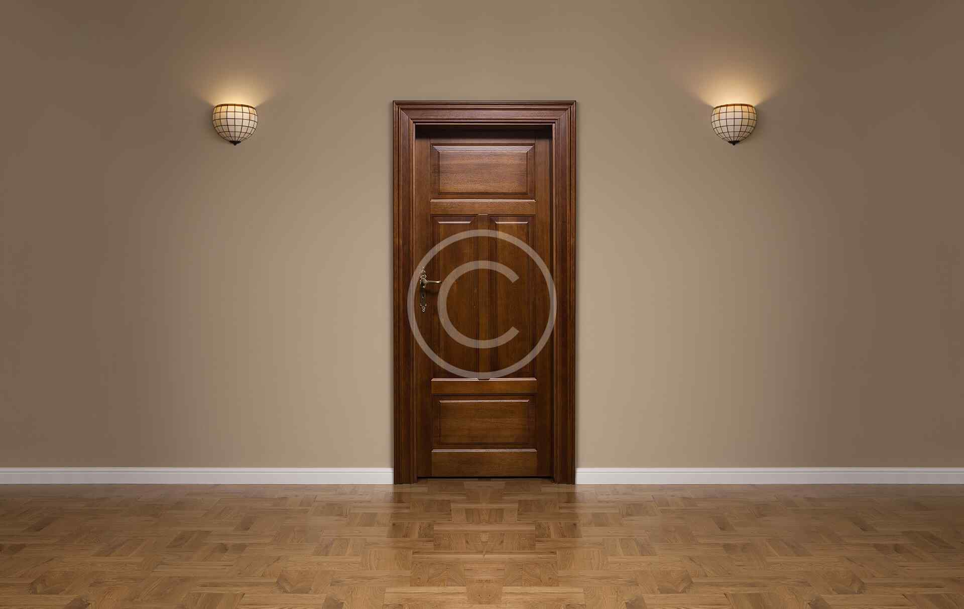 Door remodeling showcases